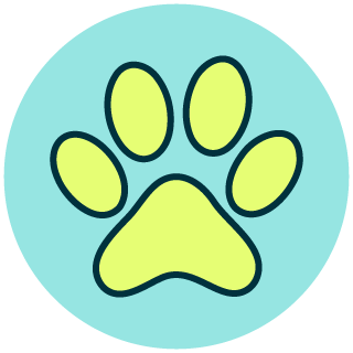 Assurance santé animaux